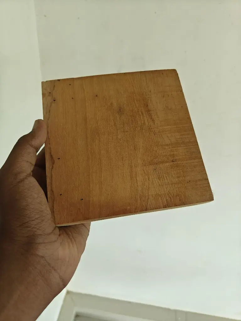 Bee Institute Tower Hive for Stingless Bees
